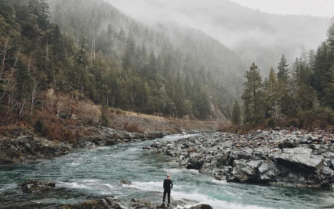 Rem dolor voluptas ratione omnis deleniti