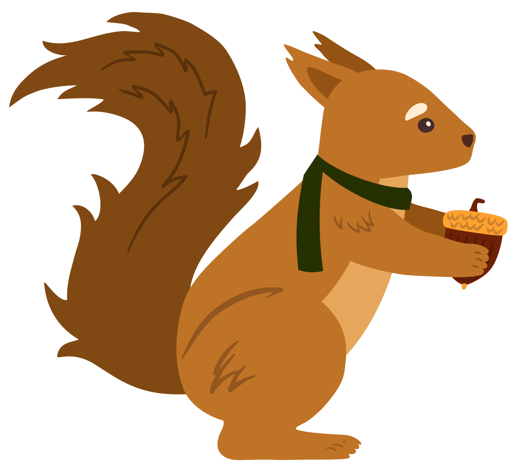 Squirrel