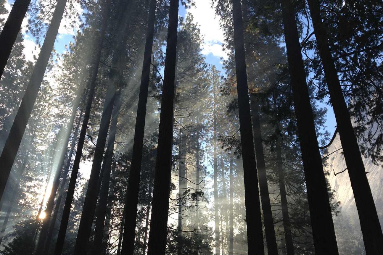 Sed debitis consequuntur consequatur modi totam aspernatur nobis repellendus qui itaque