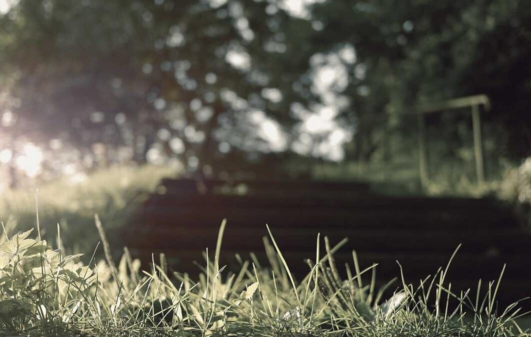 Watch the Magic Again