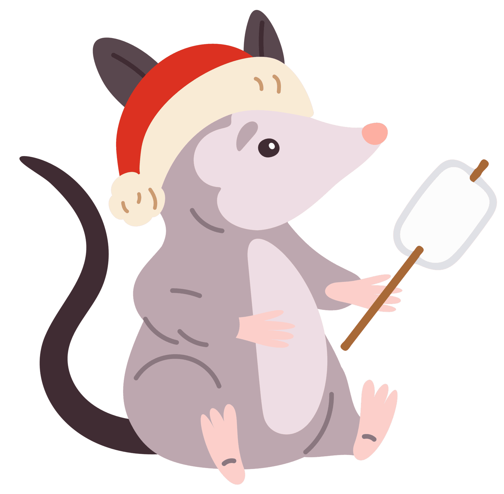 raton-005