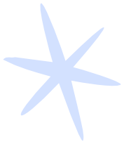 Estrella Skybox