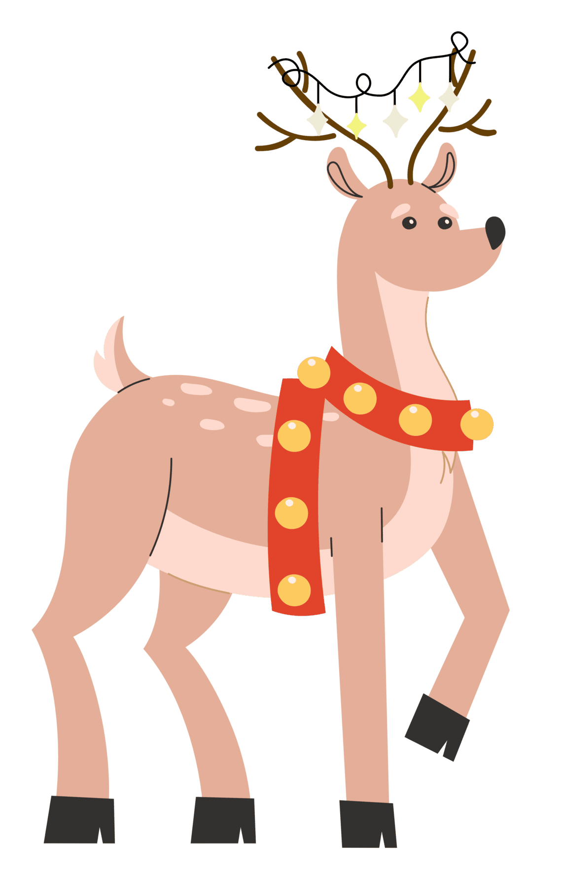 Deer